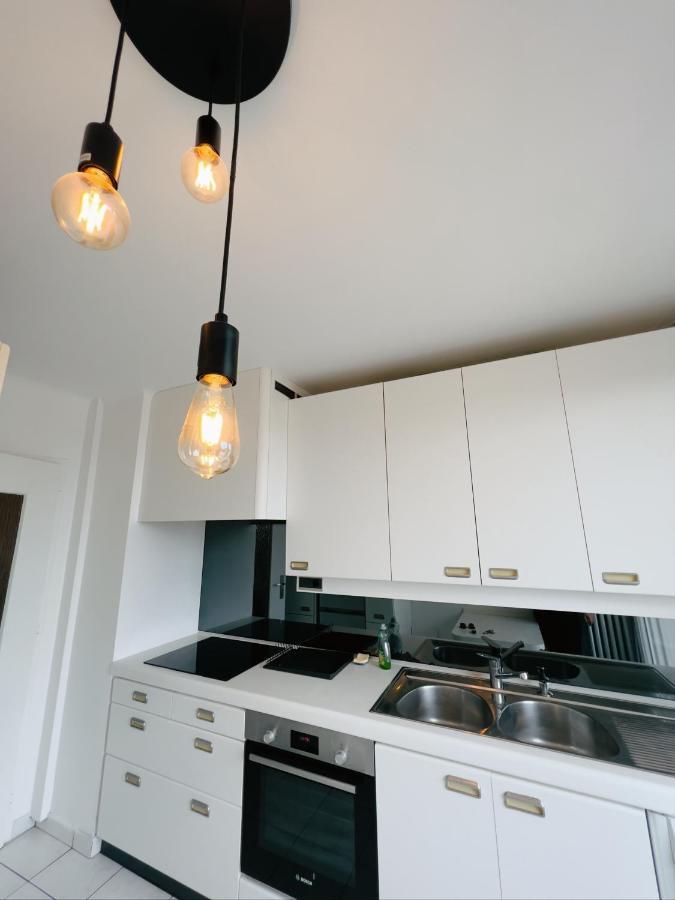 Appartement Spacieux Avec Balcon Saint-Fons Esterno foto